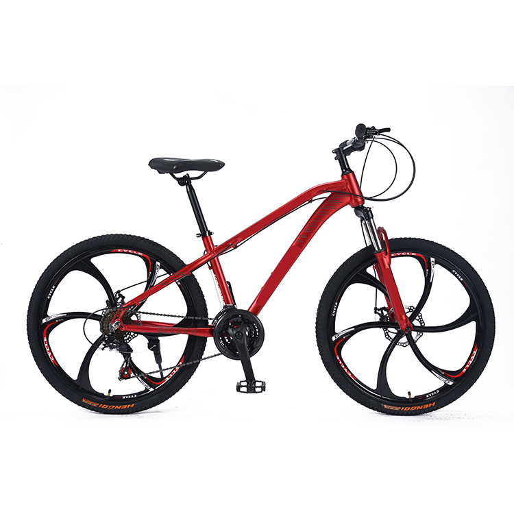 Factory Direct Carbon Fiber frame Mountain Bike 20 Inch 24 Speed Off road Mountain MTB Bicycle For Adults