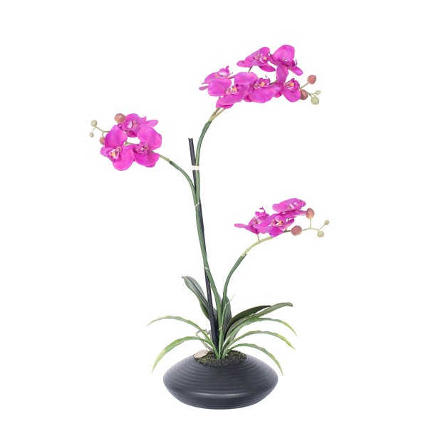 Orchid Arrangement