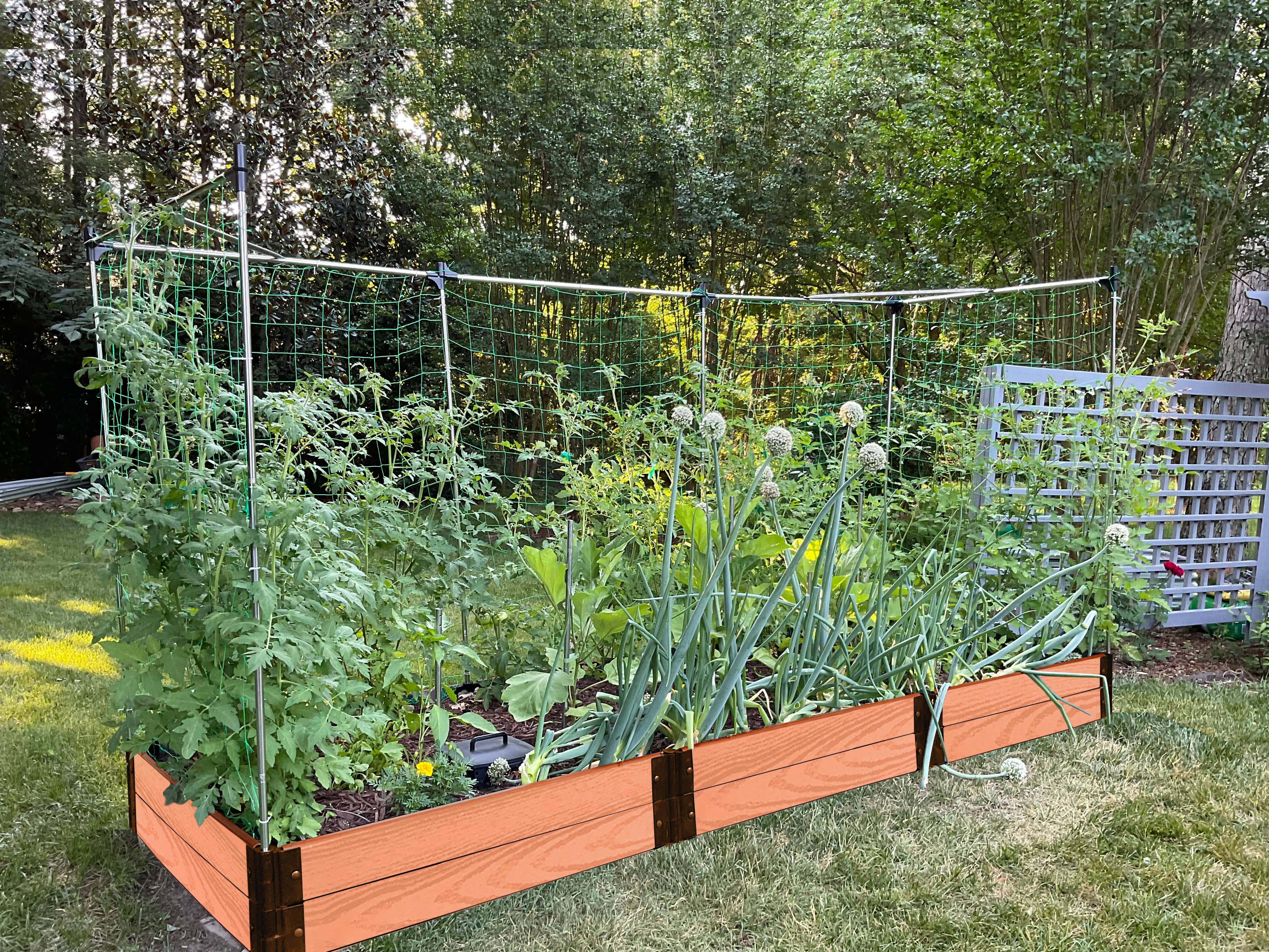 4' x 12' Raised Garden Bed with Trellis