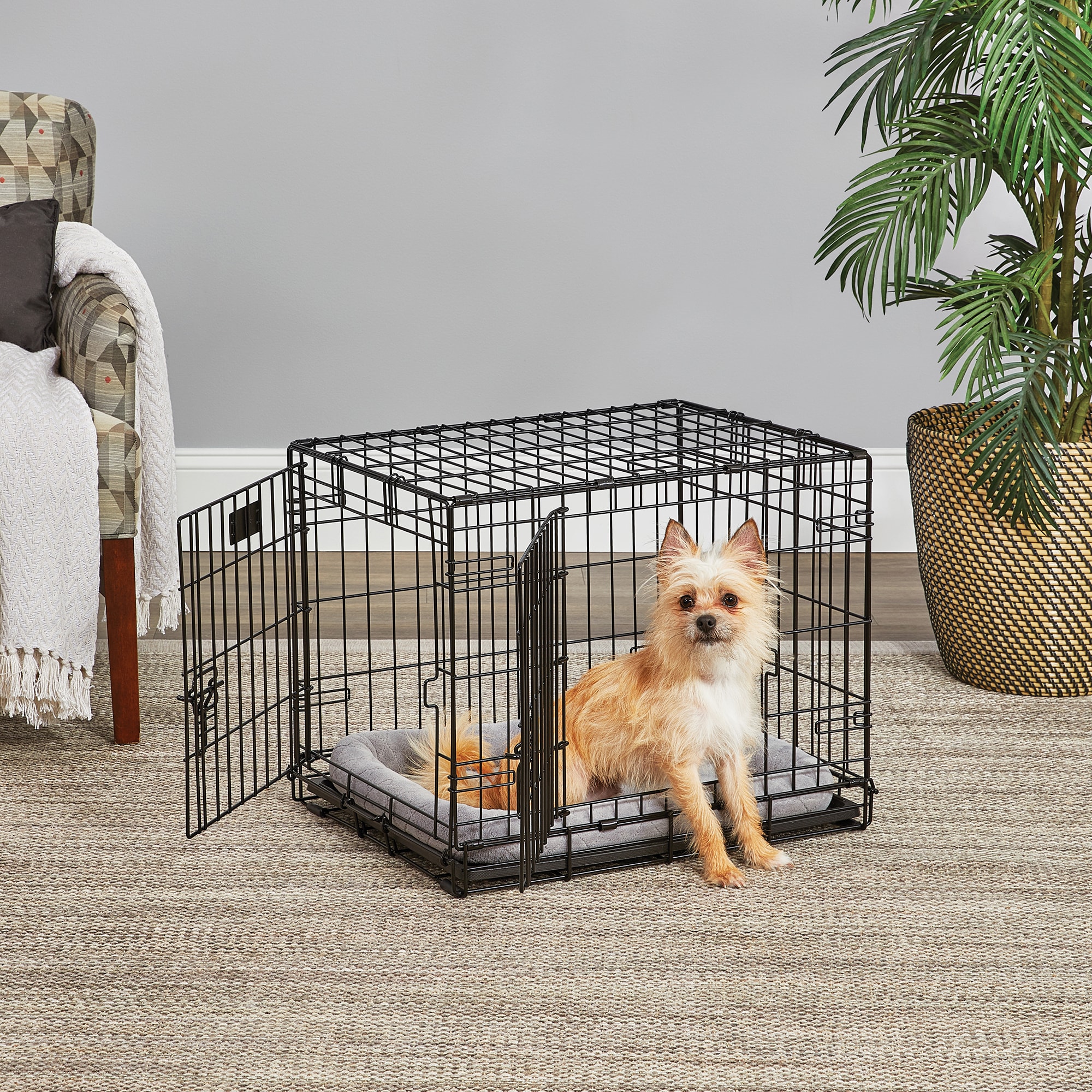 MIDWEST Lifestages Double Door Fold amp; Carry Crate for Dogs， 37