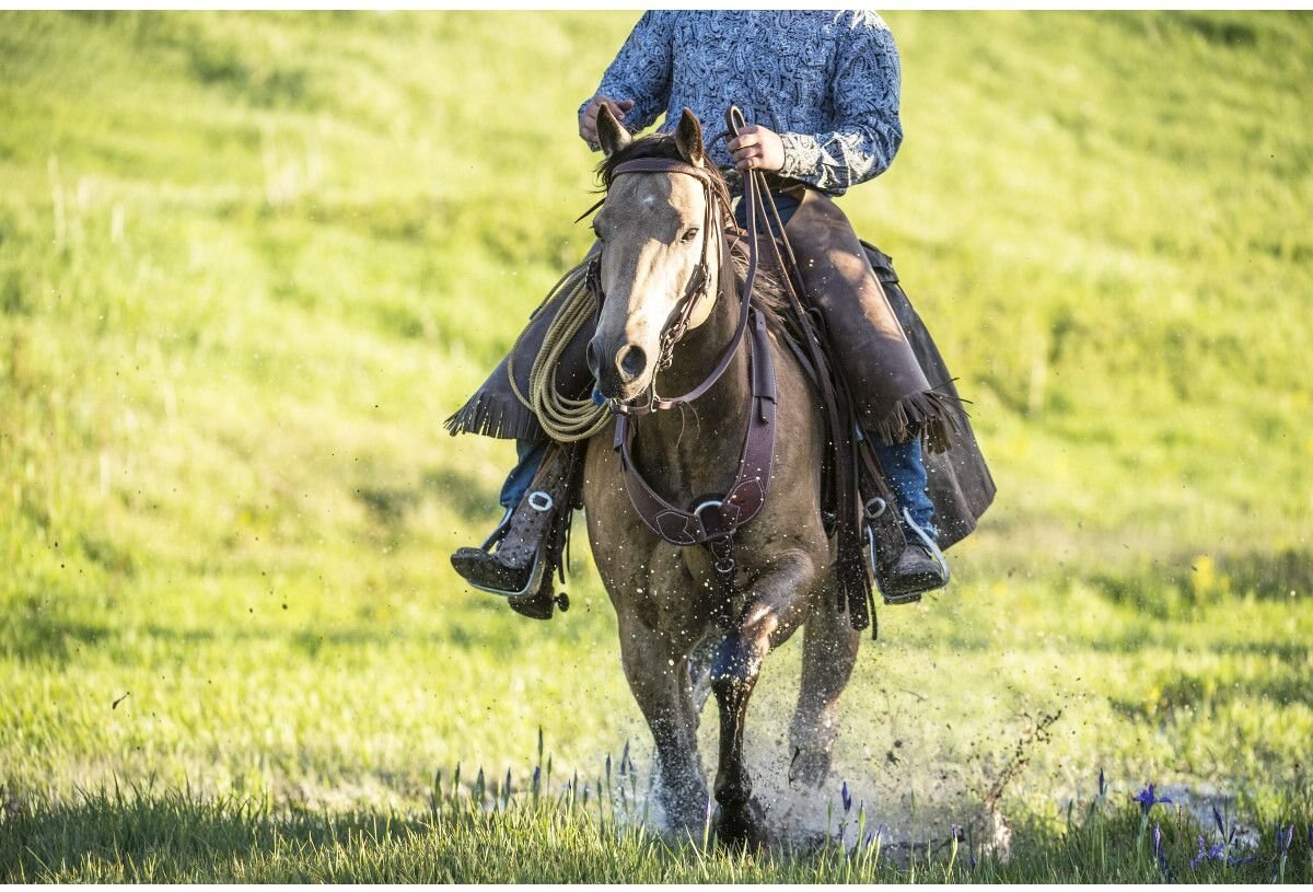 Weaver Leather Working Tack Pulling Horse Breast Collar