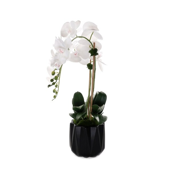 Real Touch Phalaenopsis Orchids in Black Dimensional Pot