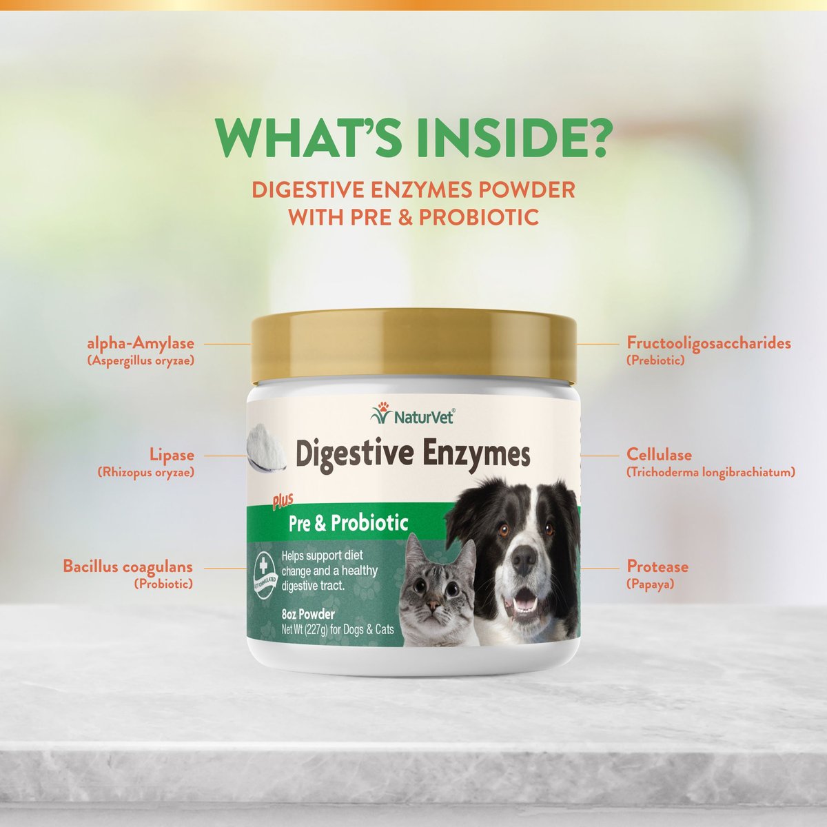 NaturVet Digestive Enzymes Plus Probiotic Powder Digestive Supplement for Cats and Dogs