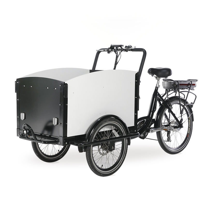 Popular Adult Cargo Bike 3 Wheel Electric Bicycle Cycling for Family Carrying Kids Children Shopping Cart