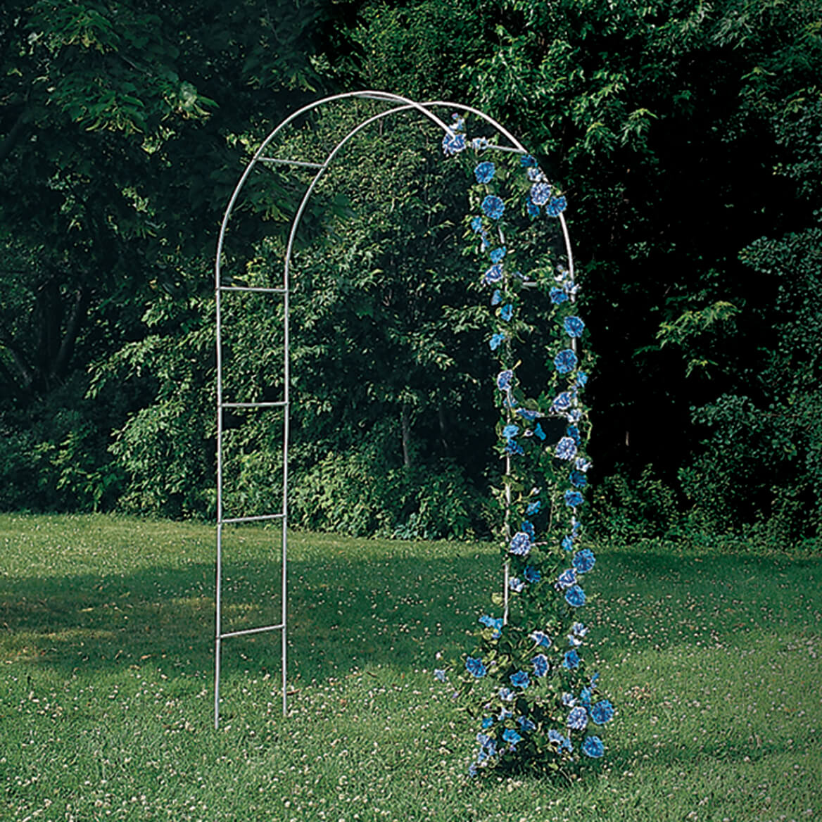 Arched Arbor Trellis