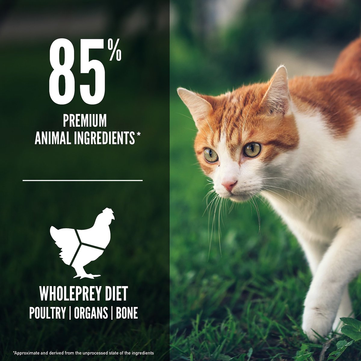 ORIJEN Fit and Trim Grain-Free Dry Cat Food