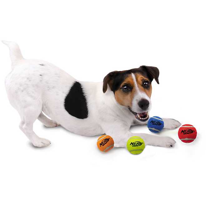 NERF Dog 2.5 in Squeak Tennis Ball 4 Pack