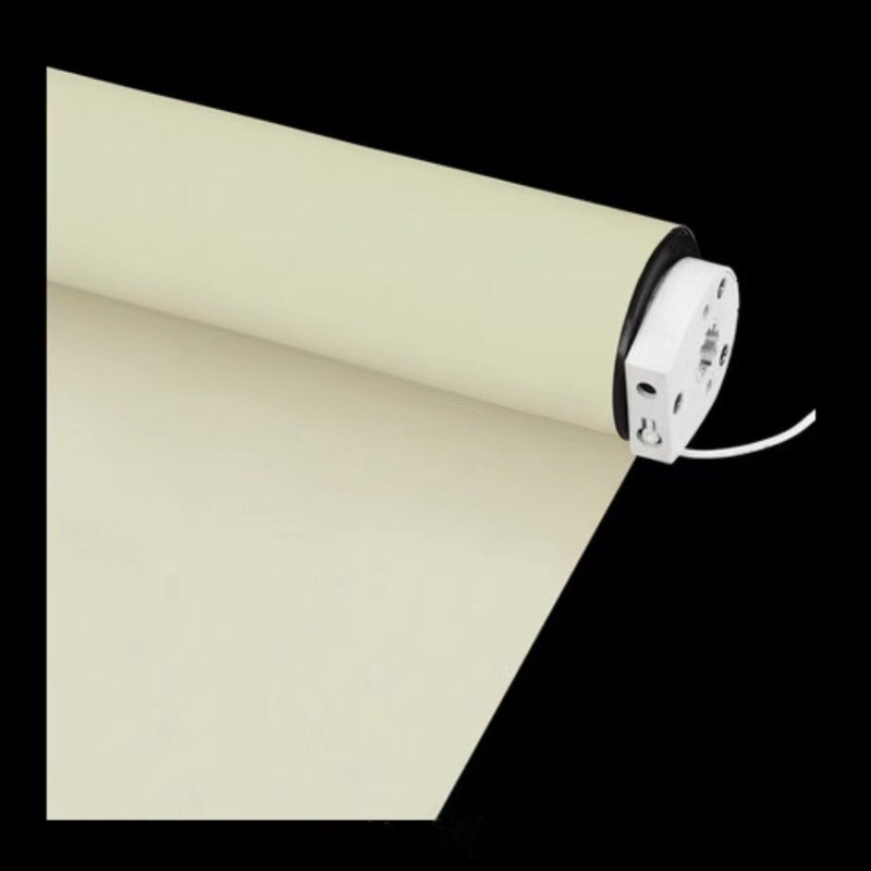 Avobird 50% Blackout Blinds for Windows With Remote Control