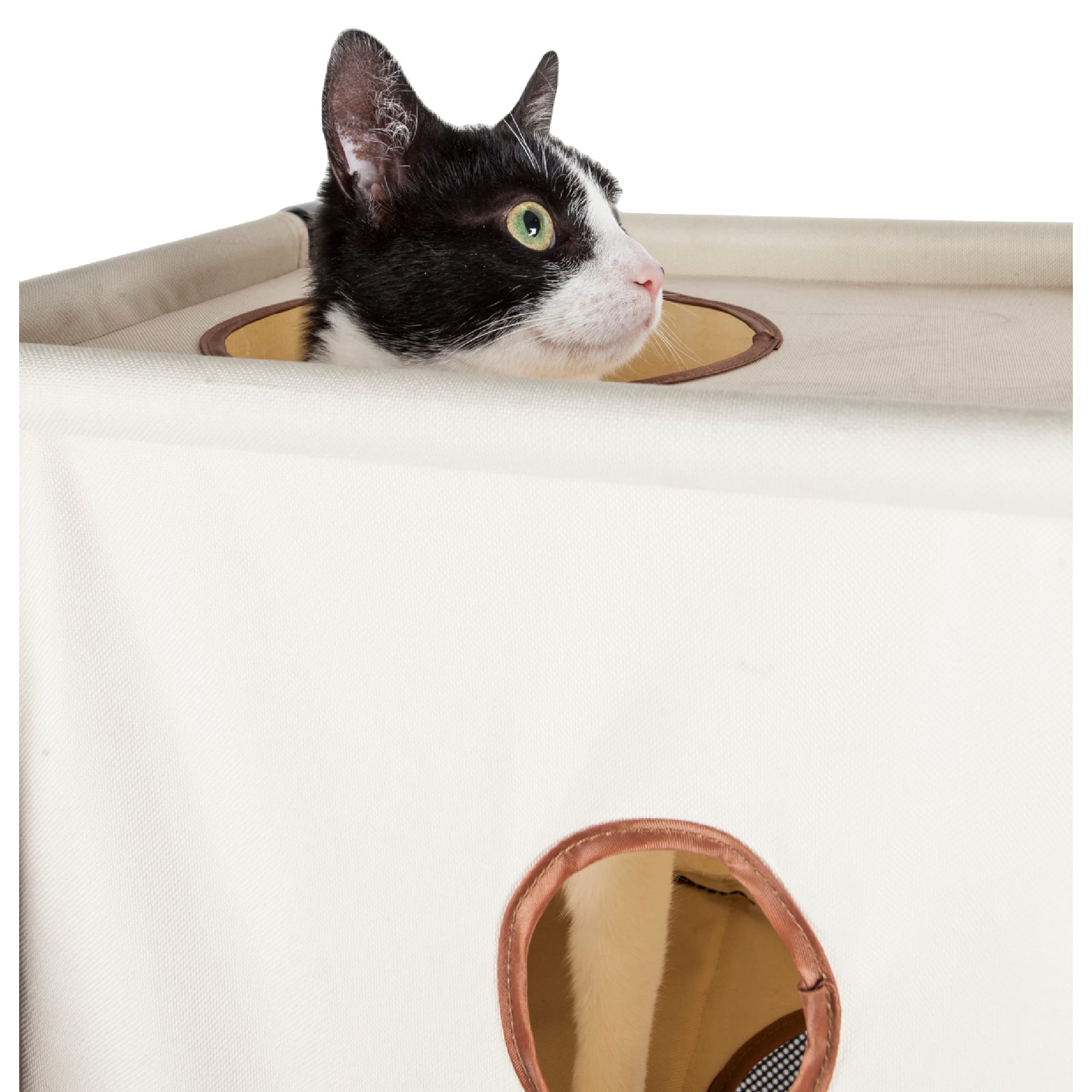 Pet Life Beige Square Obstacle Soft Folding Sturdy Play-Active Collapsible Travel Cat House， 17.71