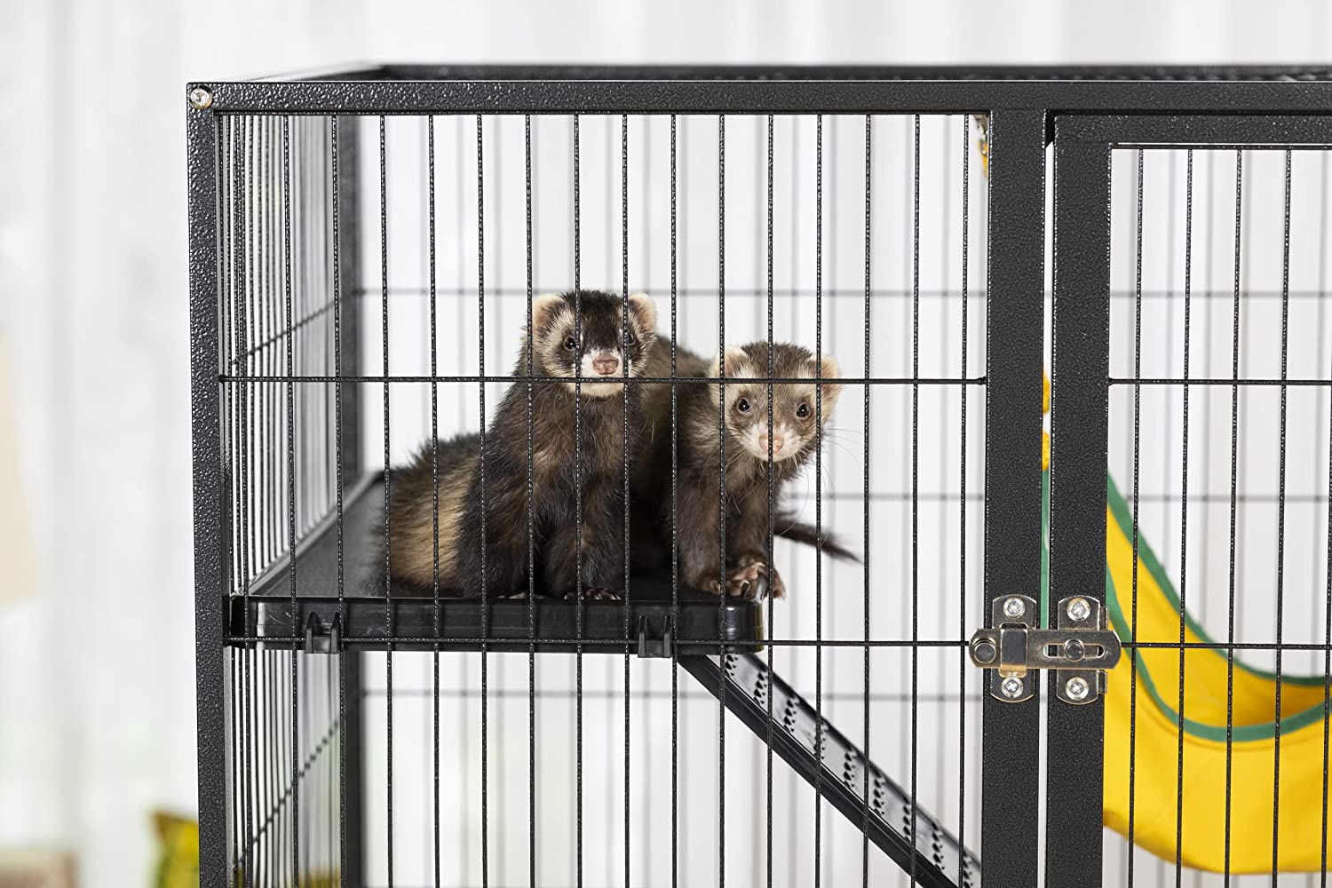 Prevue Hendryx Black Feisty Ferret Cage， Black Hammertone