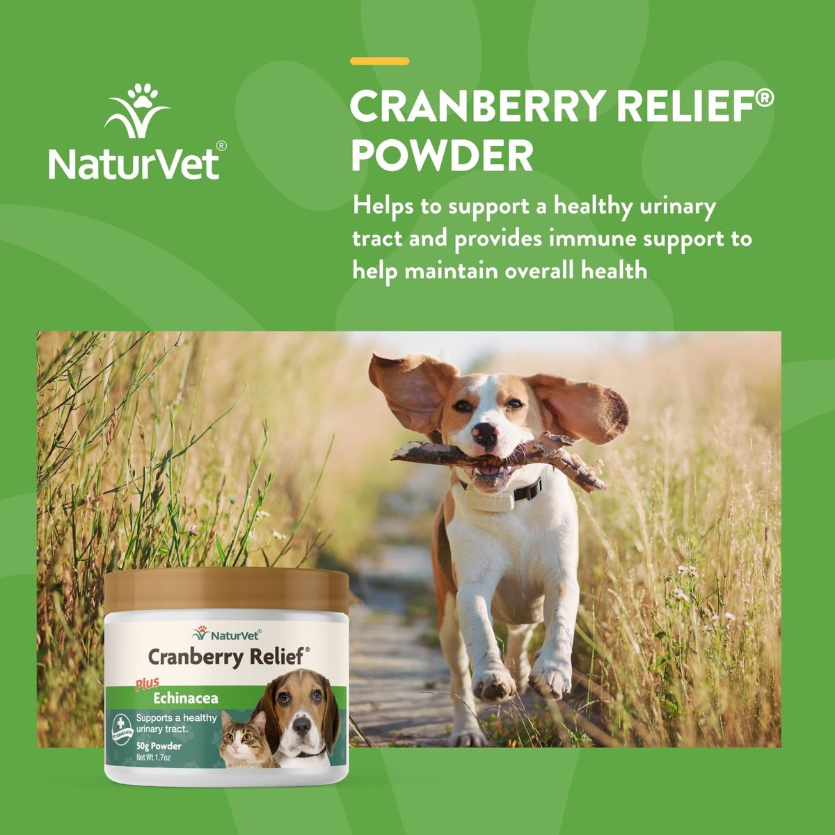 NaturVet Cranberry Relief Plus Echinacea Powder Urinary Supplement for Cats and Dogs