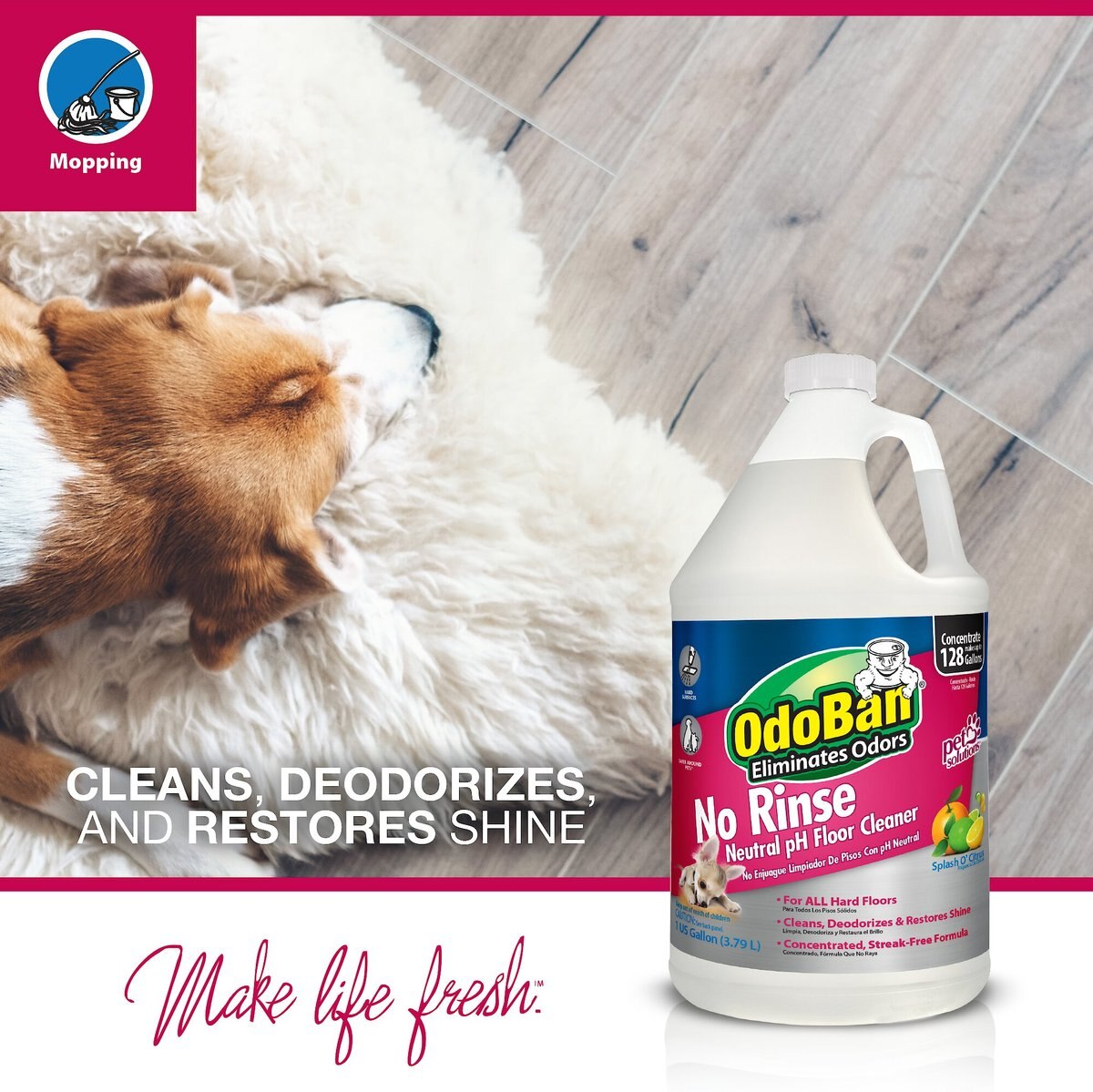 OdoBan No Rinse Neutral pH Floor Cleaner， Citrus Scent