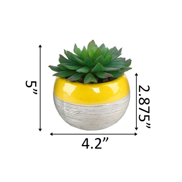 Succulent in Two tone lines pattern ceramic pot ，Teal