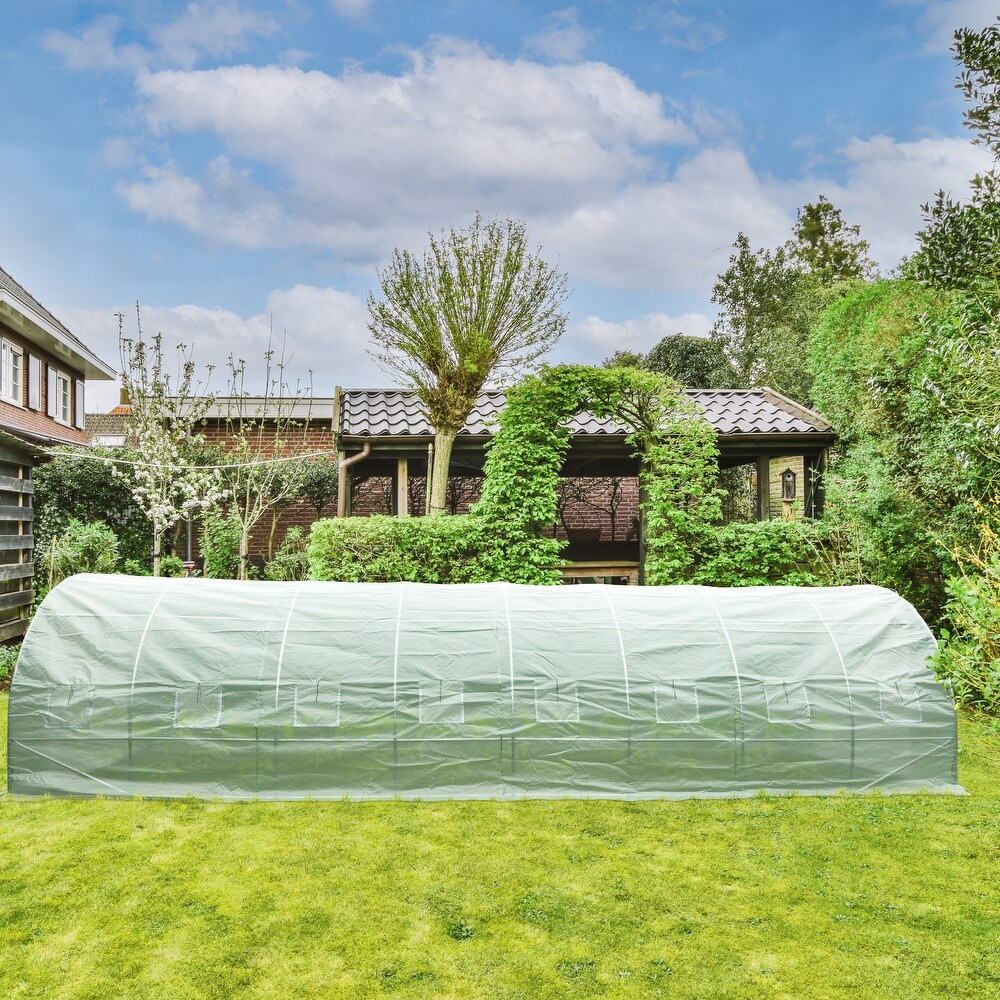 Aoodor Galvanized Pipe and PE Walk in Tunnel Greenhouse 26 FT x 10 FT x 7 FT   26'×10'×7'