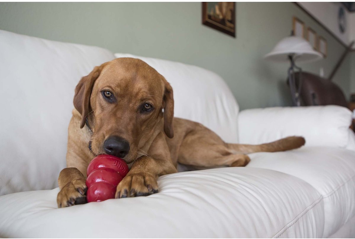 KONG Stuff'N Liver Snacks Crunchy Dog Treats