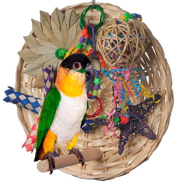 Super Bird Creations Busy Birdie Play Perch Bird Toy， Small/Medium