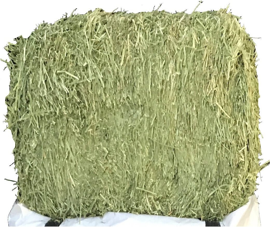 Ametza Compressed Alfalfa Hay Bale Horse Forage