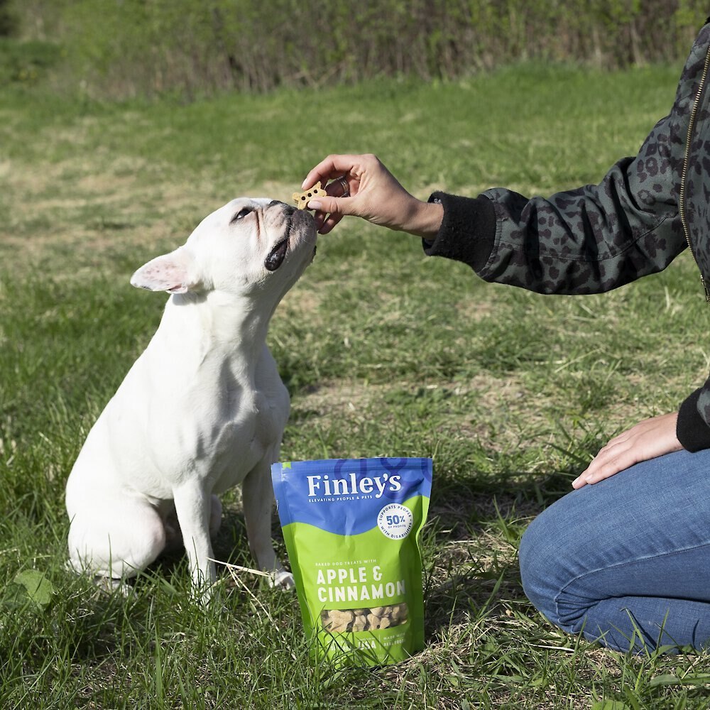 Finley's Barkery Wheat-Free Apple and Cinnamon Crunchy Biscuit Dog Treats