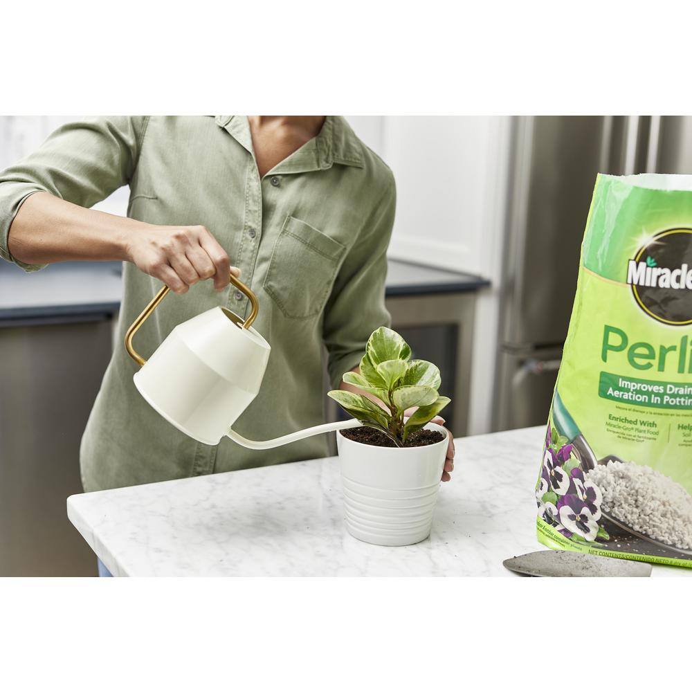 Miracle-Gro 8 qt. Perlite 74278430