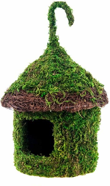 Galapagos Bungalow Deco Birdhouse， Fresh Green