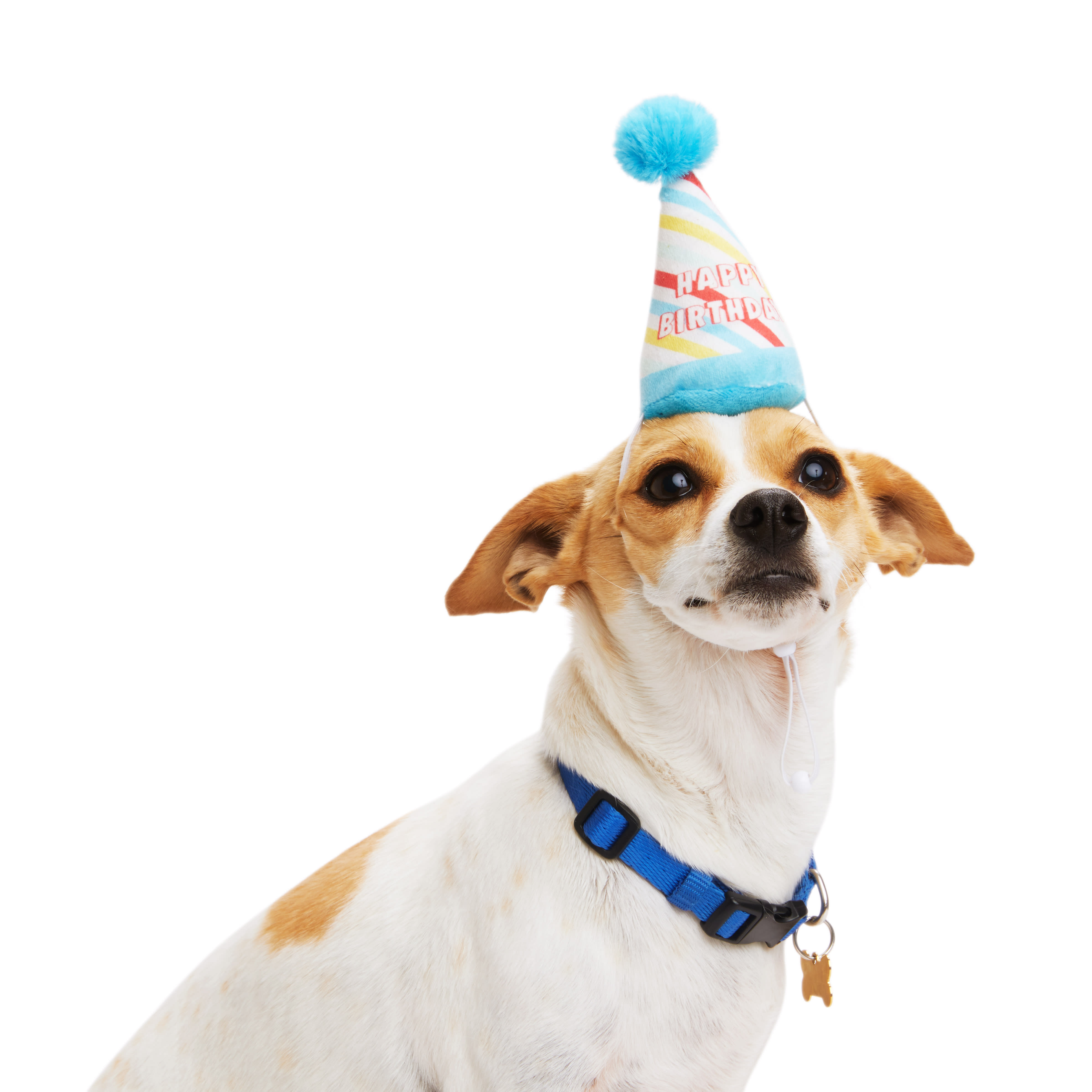 YOULY Birthday Dog Hat， Small/Medium