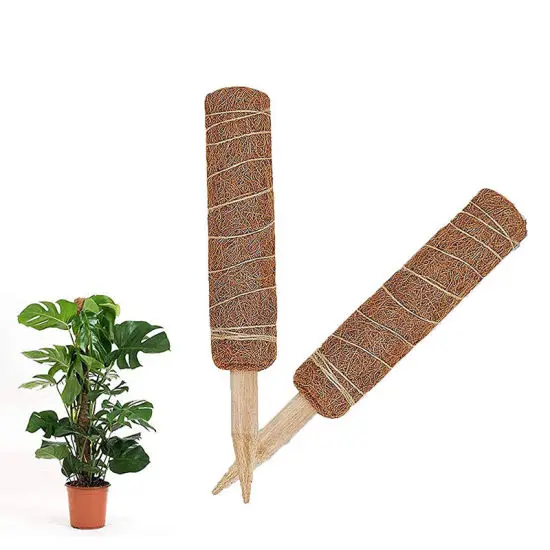 Coco Coir Pole Sticks is the Ideal for Your Garden Demy Satisfying Coco Coir Pole Sticks You NeedTo Know From Indian Exporters