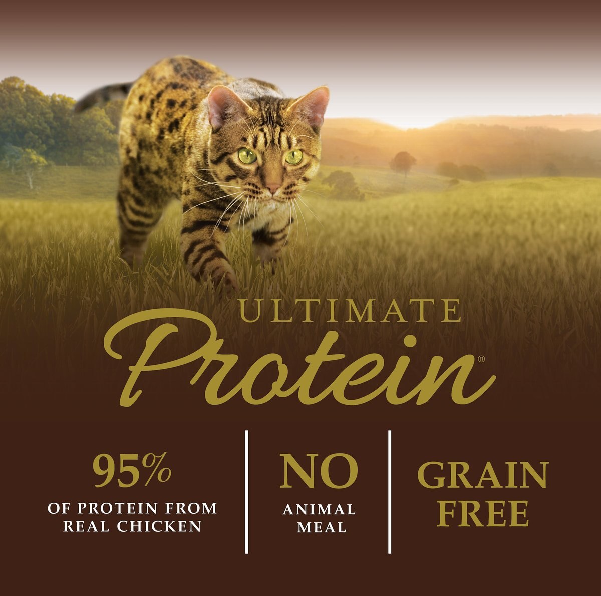 Instinct Ultimate Protein Grain-Free Cage-Free Chicken Recipe Freeze-Dried Raw Coated Dry Cat Food