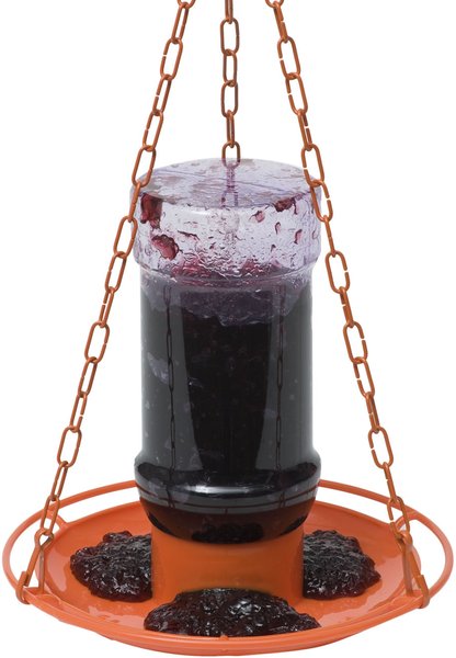 Perky-Pet Oriole Jelly Bird Feeder