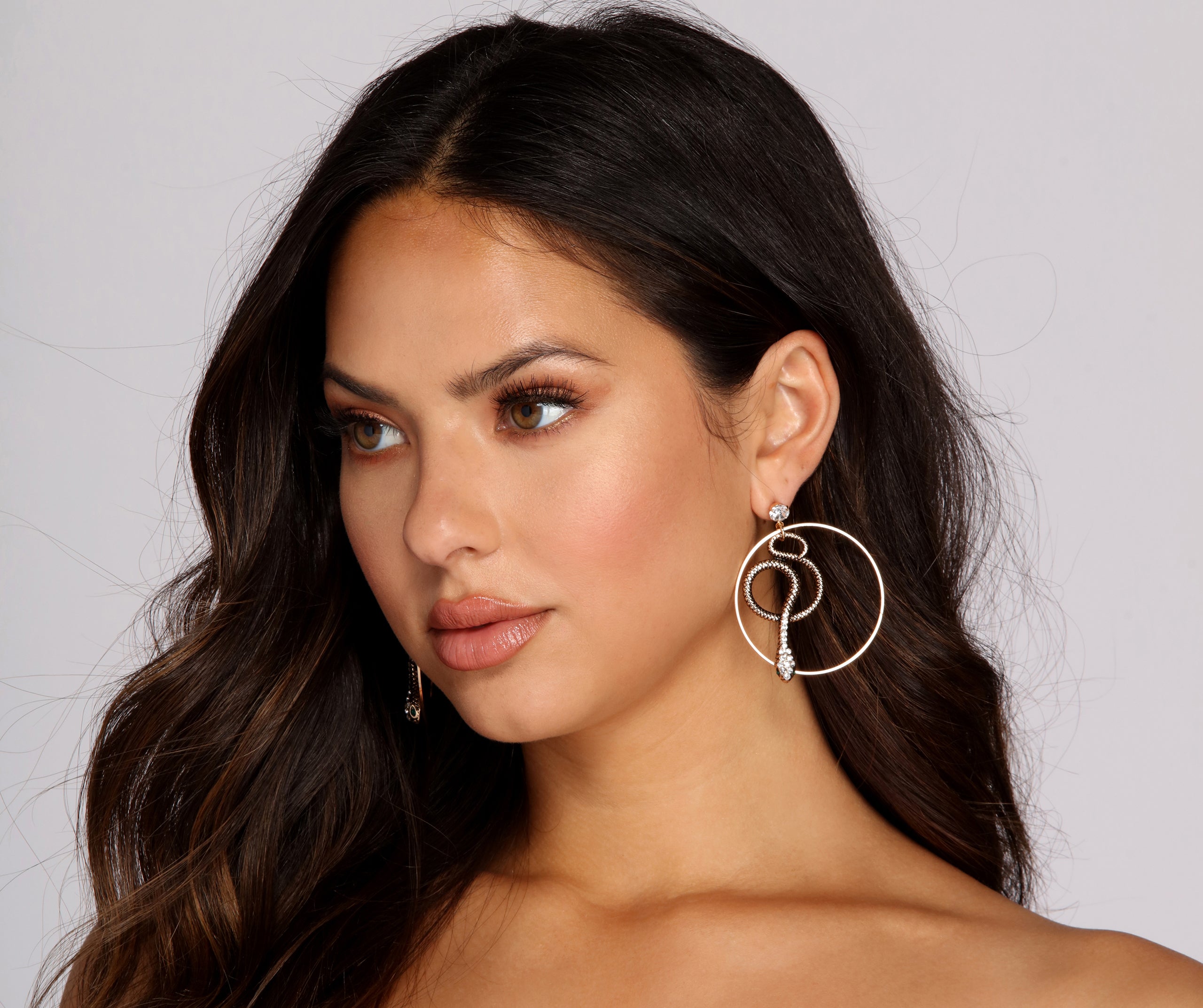 Charming Snake Hoop Earrings