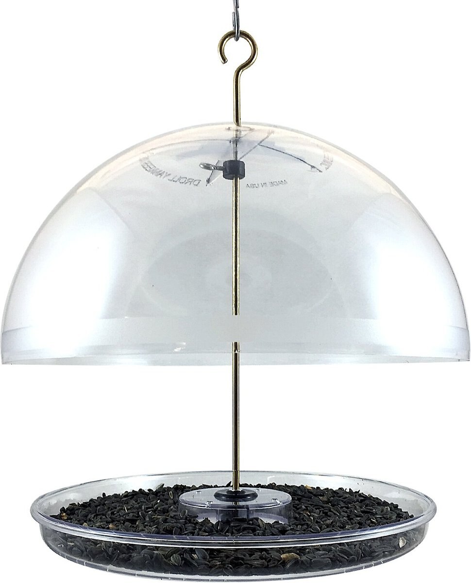 Droll Yankees Dorothy's Cardinal Domed Bird Feeder