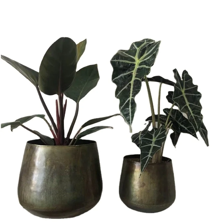 Affordable Price Set of Two Planter Home Indoor Outdoor Garden Usage Customized Size Metal Planter Made by India