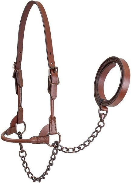 Derby Originals Bronze Beauty Premium Round Rolled Leather Cattle Show Halter and Chain Lead