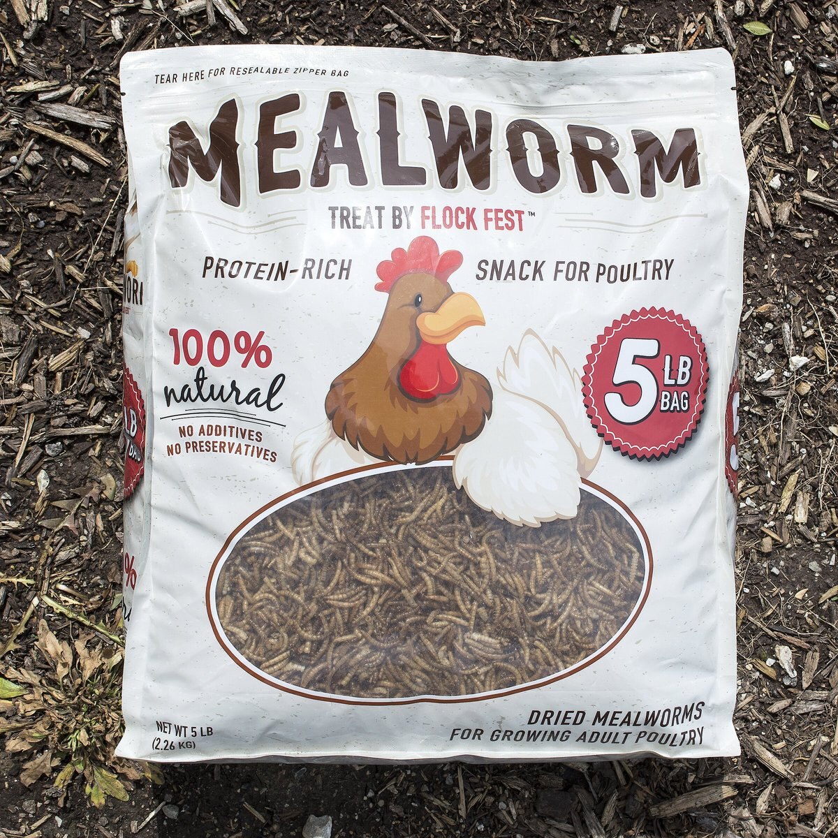 Flock Fest Dried Mealworms Adult Chicken Treats， 5-lb bag and Stainless Steel Feeder Bucket