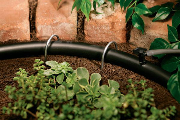 Orbit 10pk Drip Irrigation Tubing Stakes - 1/4