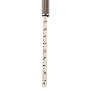 Husky 10 PSI to 50 PSI Tire Pressure Gauge HKATA091024