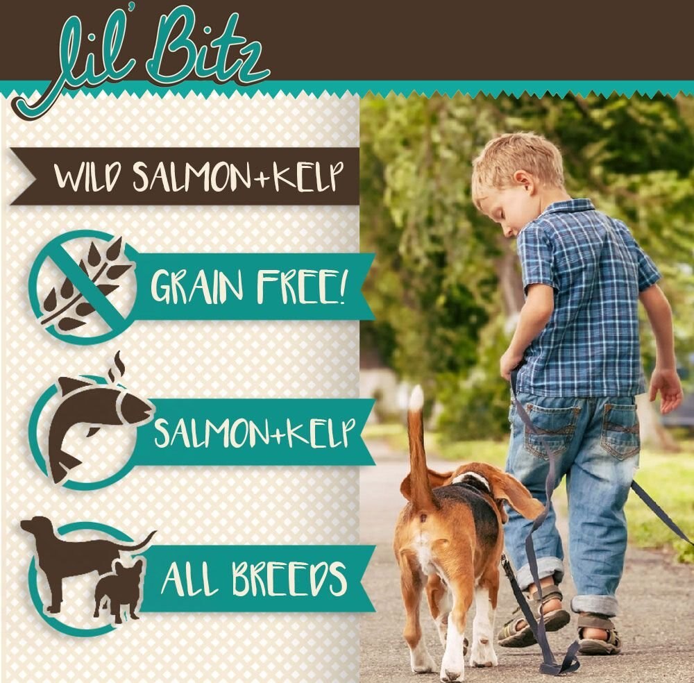 Lil' Bitz Wild Salmon and Kelp Training Dog Treats