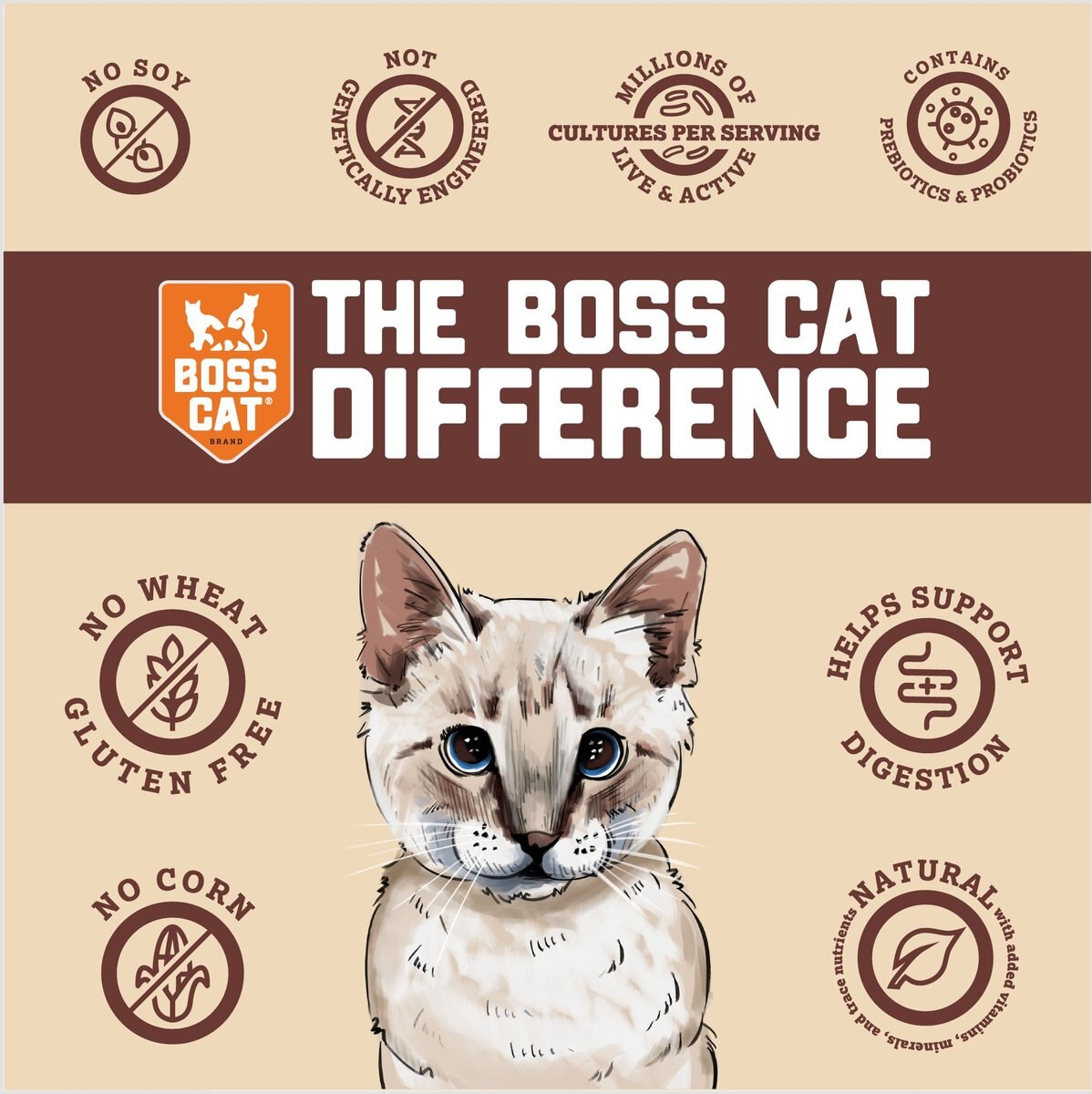 Boss Cat Complete and Balanced Raw Diet Turkey Recipe Freeze-Dried Cat Food， 9-oz bag