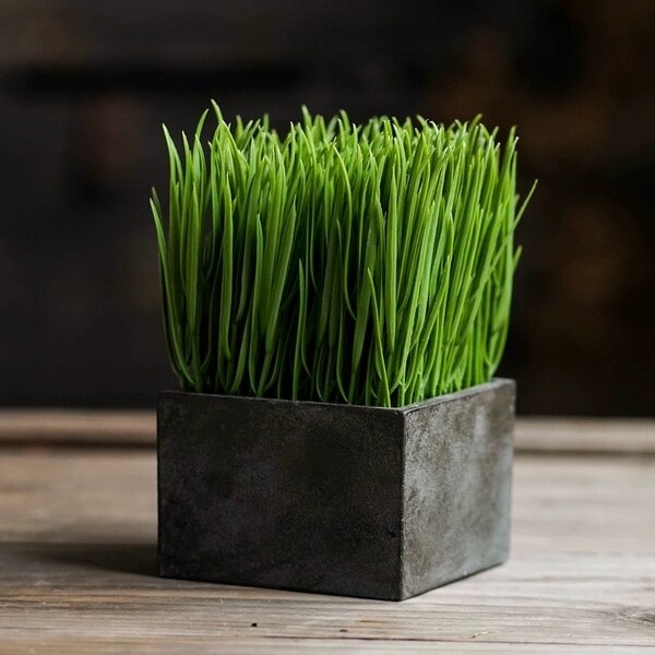 RusticReach Faux Grass in Black Pot