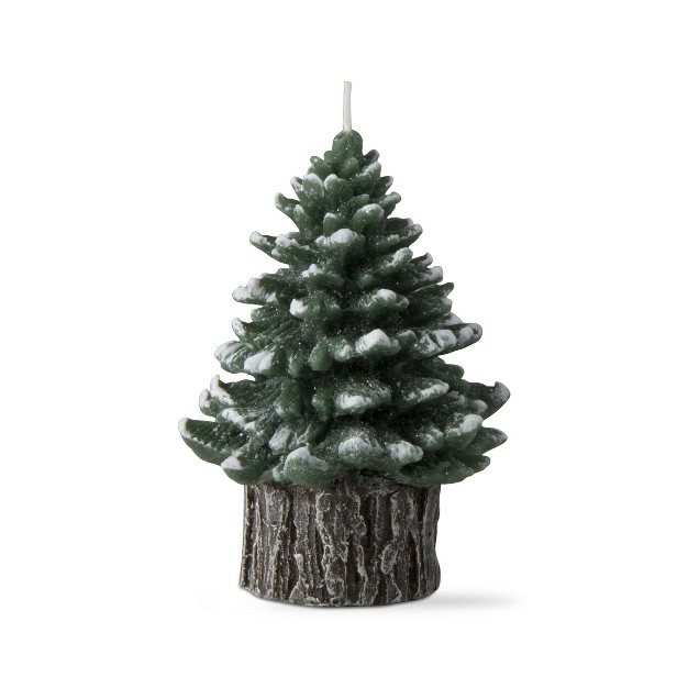 Tagltd Spruce Small Rustic Tree Candle