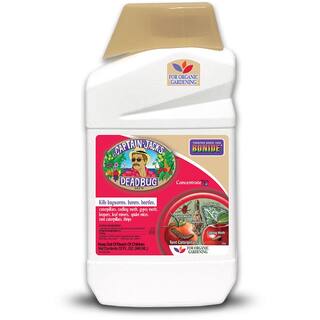 Bonide Captain Jack's Deadbug Brew 32 oz Concentrate Outdoor Insecticide and Mite Killer for Organic Gardening 253