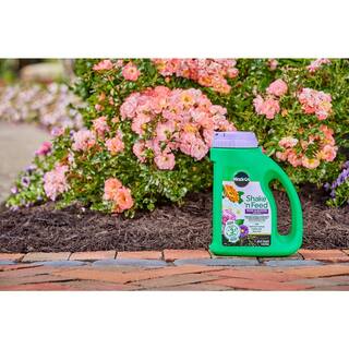 Miracle-Gro Shake 'n Feed 4.5 lbs. Rose and Bloom Plant Food 300221005