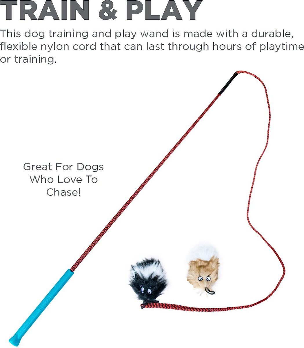 Outward Hound Tail Teaser with Refill Dog and Cat Teaser Toy