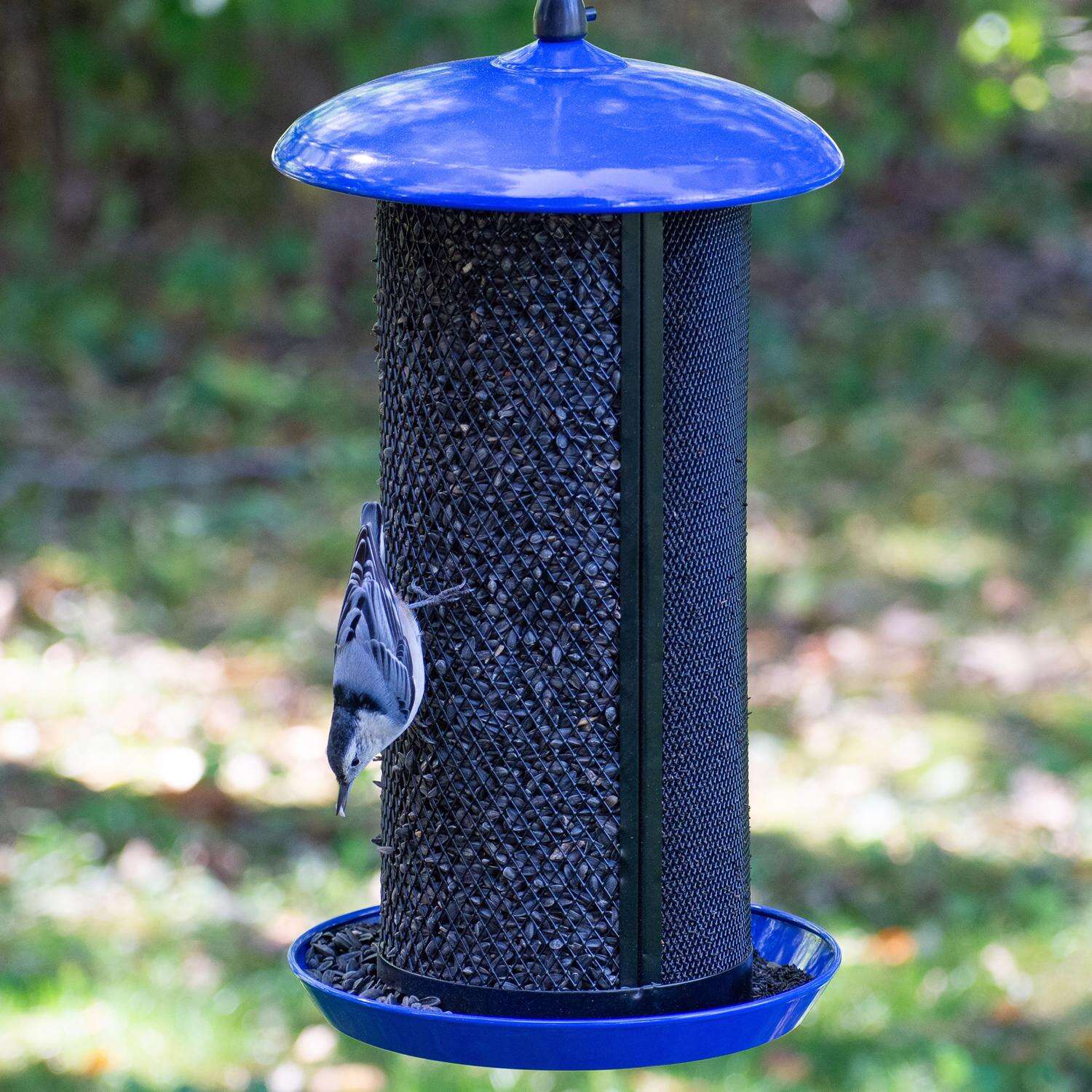 Perky-Pet Wild Bird 8 lb Metal Mesh Dual Bird Feeder