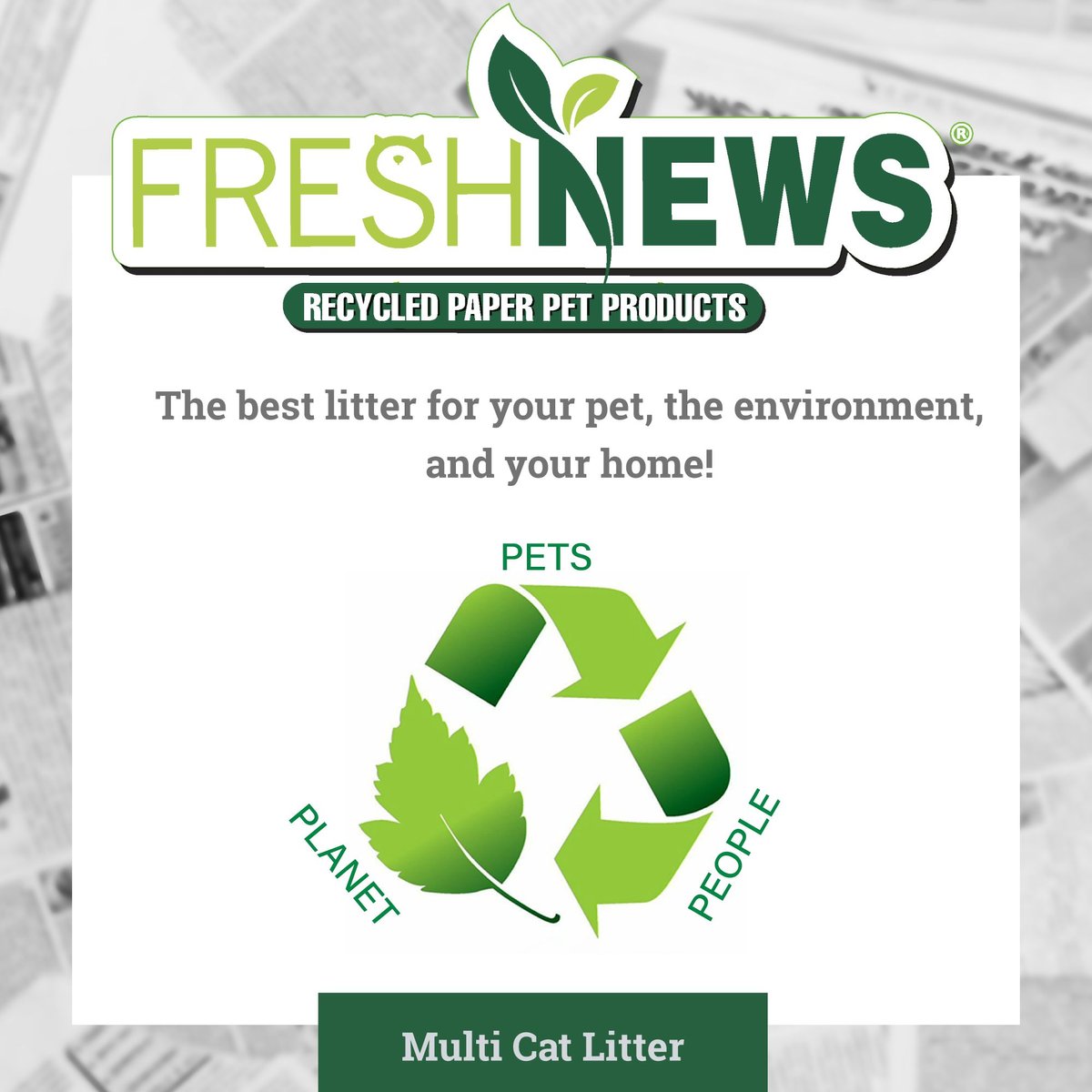 Fresh News Non-Clumping Scented Paper Cat Litter， 25-lb bag