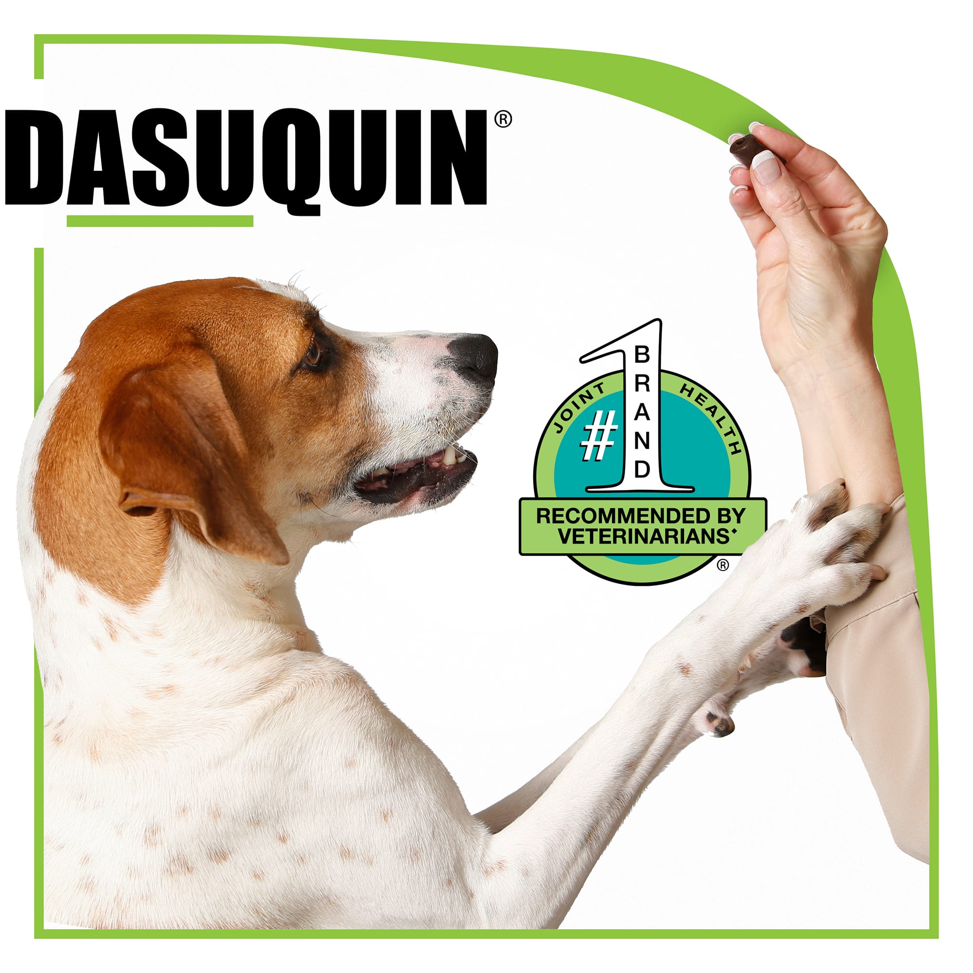 DASUQUIN With MSM Soft Chews for Small to Medium Dogs Under 60 lbs.， Count of 84