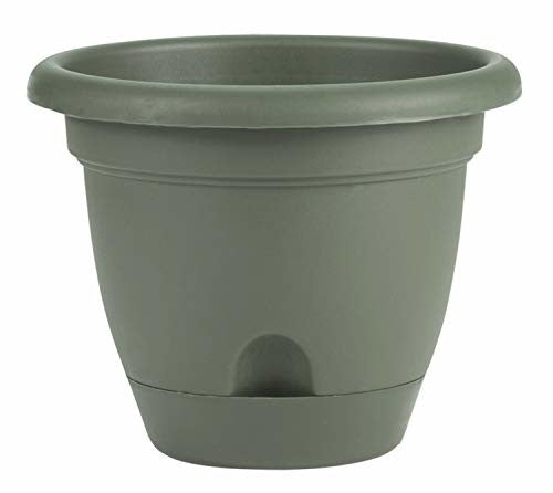 Bloem LP1642 Lucca Planter, 16-Inch, Living Green