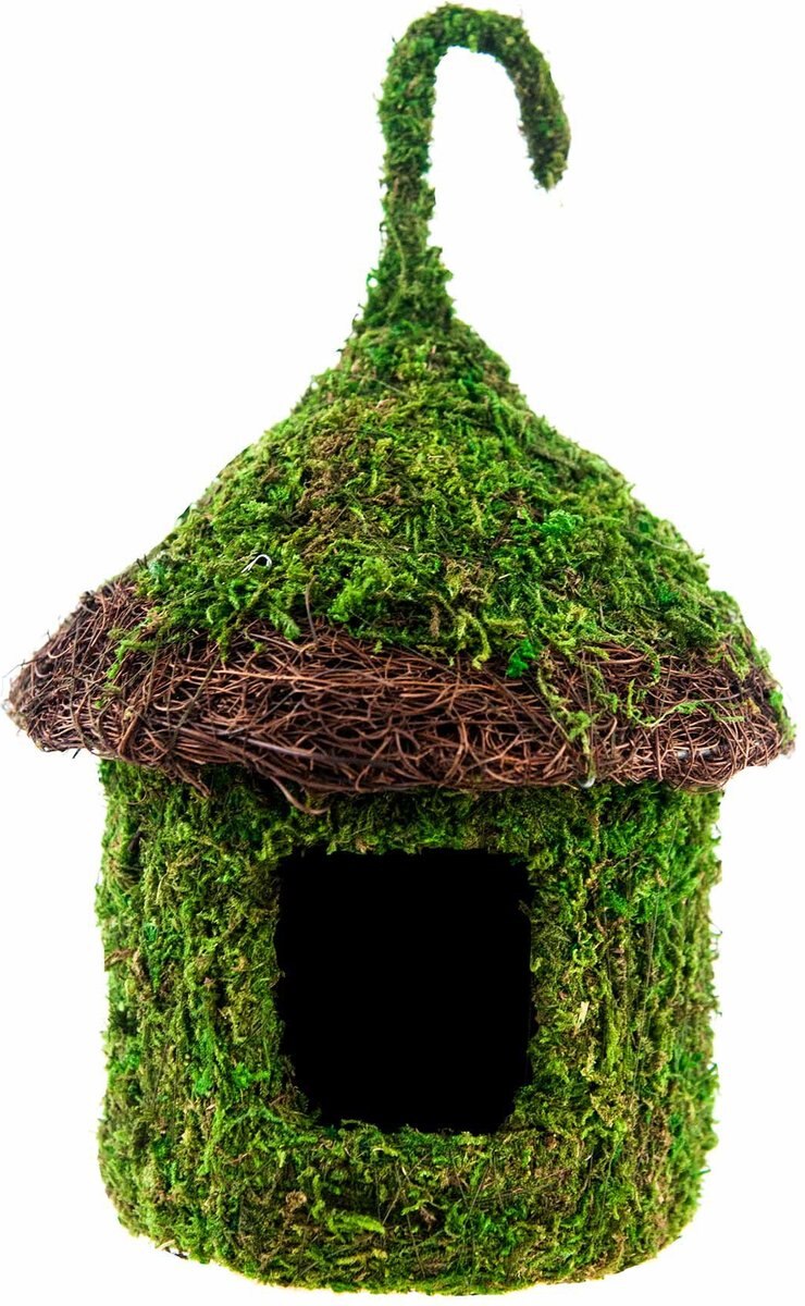 Galapagos Bungalow Deco Birdhouse， Fresh Green