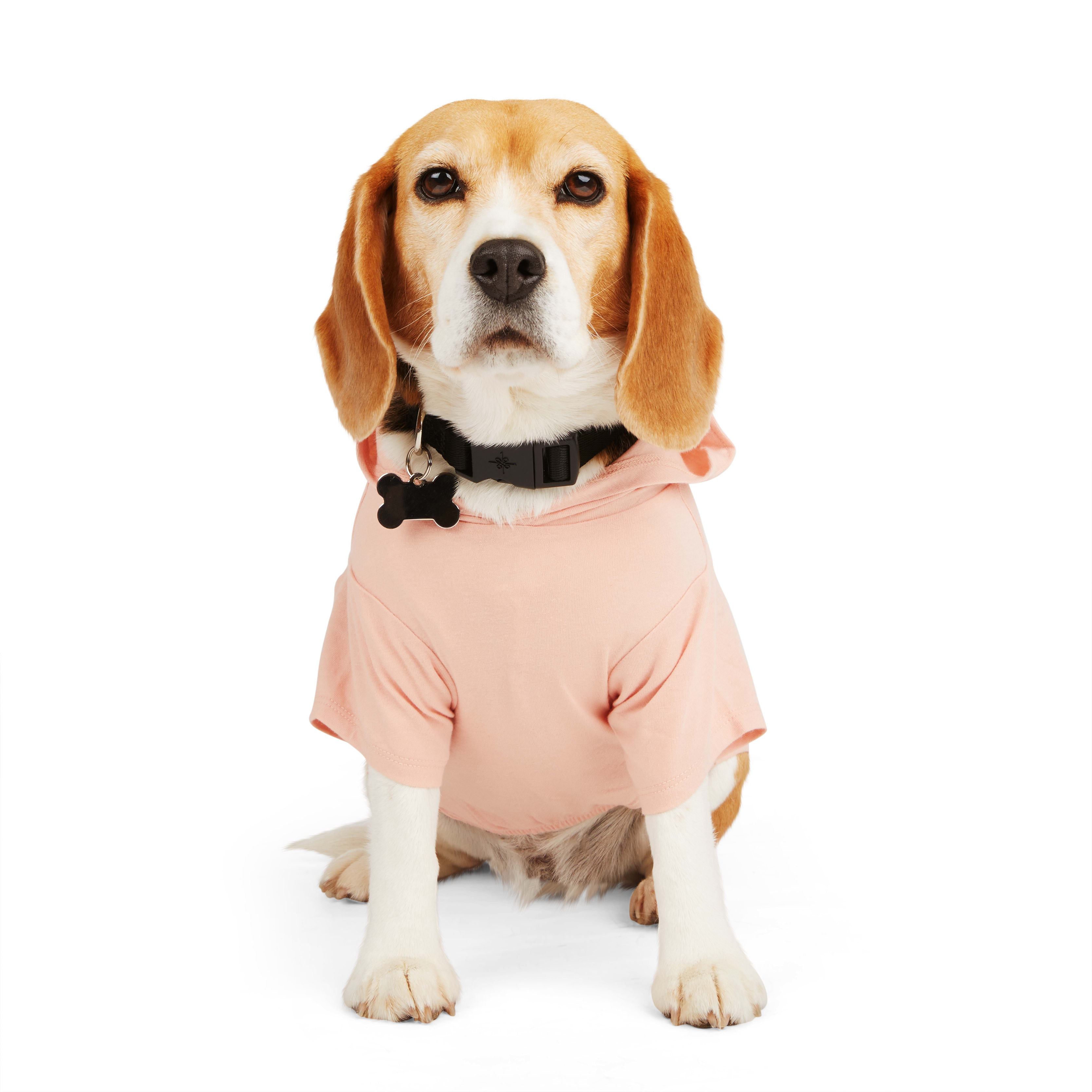 YOULY Treat OClock Dog Hoodie， XX-Small