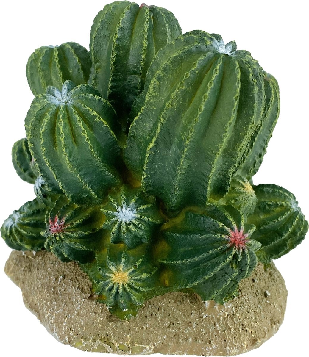 Komodo Cactus Barrel Reptile Ornament， Green