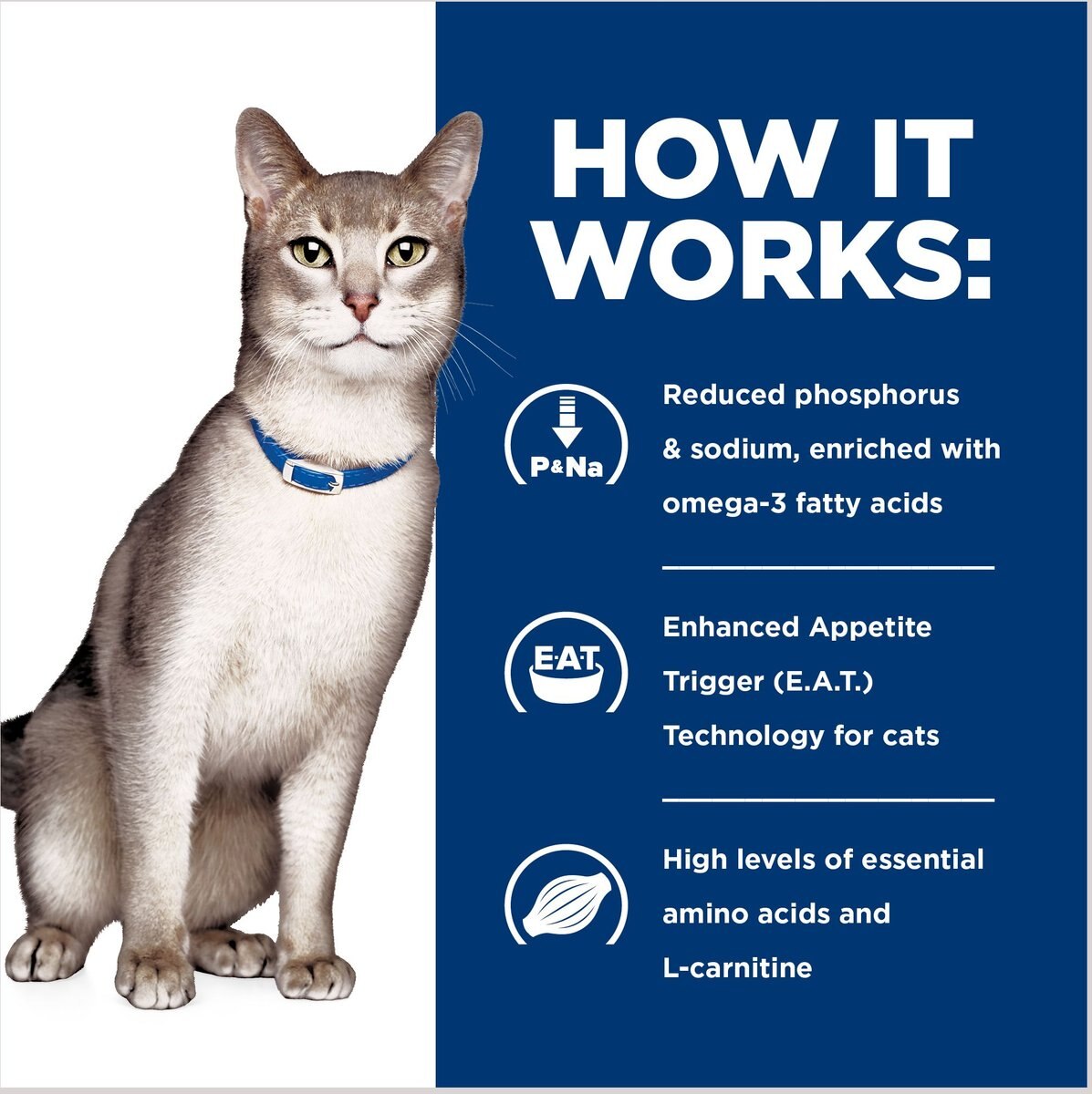 Hill's Prescription Diet k/d Kidney Care with Ocean Fish Dry Cat Food